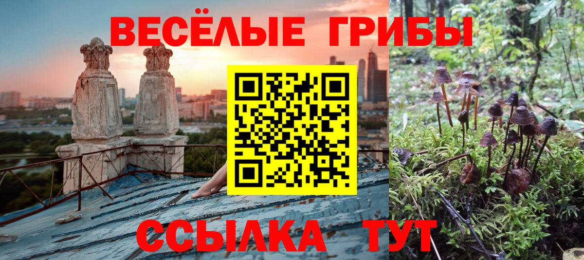 Псилоцибиновые грибы мицелий Топки