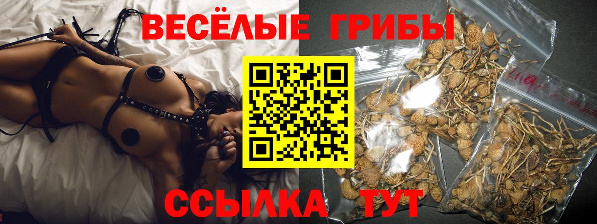Псилоцибиновые грибы Psilocybine cubensis  Вход с VPN  Топки 